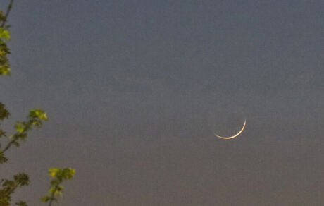 چه کشورهایی امروز را اولین روز ماه رمضان اعلام کردند؟