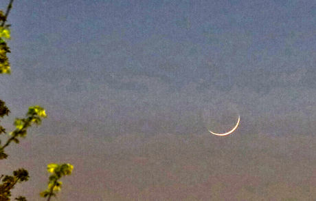 چه کشورهایی امروز را اولین روز ماه رمضان اعلام کردند؟