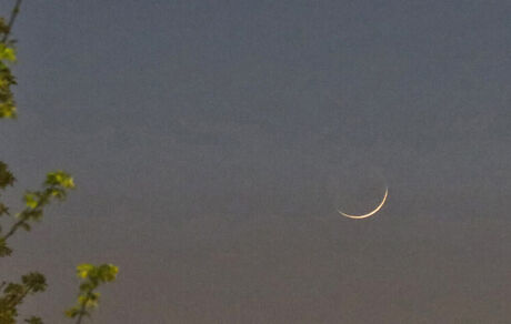چه کشورهایی امروز را اولین روز ماه رمضان اعلام کردند؟