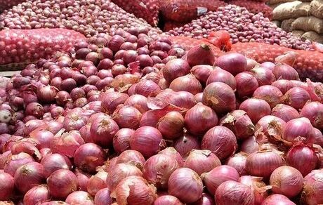 صادرات پیاز مازاد بر مصرف آسان‌تر می‌شود