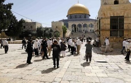 هتک حرمت مسجد الاقصی توسط ده‌ها شهرک‌نشین صهیونیست