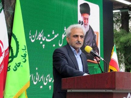 خرید ۹۴۹ میلیارد تومان برگ سبز چای از چای‌کاران