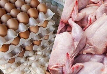 هشدار نسبت به حذف مواد غذایی از سبد خانوار