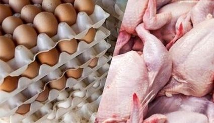 قیمت تخم مرغ بطور رسمی نیم میلیون تومان شد / نرخ مرغ و گوشت اعلام شد