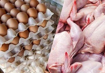 قیمت تخم مرغ بطور رسمی نیم میلیون تومان شد / نرخ مرغ و گوشت اعلام شد