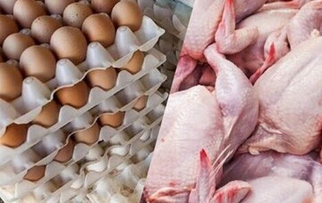 هشدار نسبت به حذف مواد غذایی از سبد خانوار