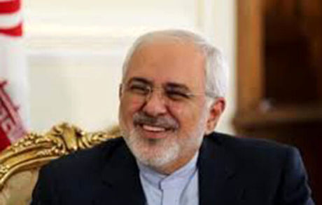 ظریف میزبان پدرسون/عکس