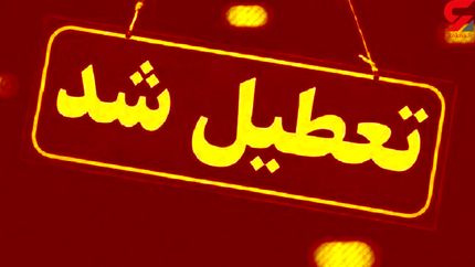 آنفلوآنزا مدارس اردبیل را تعطیل کرد
