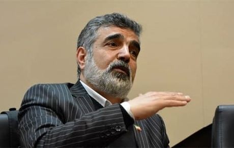 سخنگوی سازمان انرژی اتمی در نطنز مصدوم شد