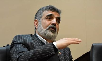سخنگوی سازمان انرژی اتمی در نطنز مصدوم شد