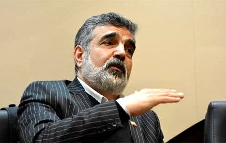 سخنگوی سازمان انرژی اتمی در نطنز مصدوم شد