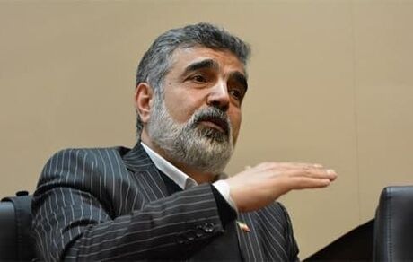 سخنگوی سازمان انرژی اتمی در نطنز مصدوم شد