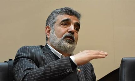سخنگوی سازمان انرژی اتمی در نطنز مصدوم شد