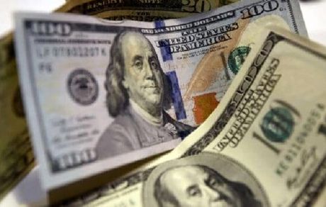 فردا، این  شعب منتخب ارز دولتی می‌فروشند