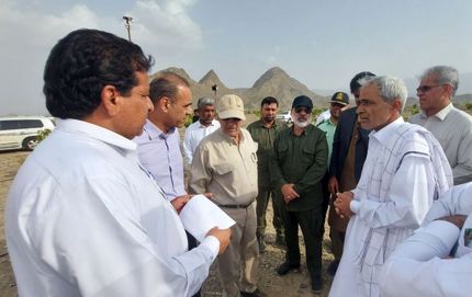 تولید سالانه ۱۷ هزار تن انبه در استان سیستان و بلوچستان