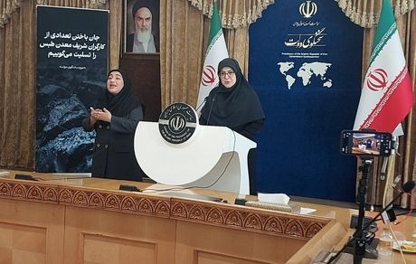 گشایش‌هایی را در خصوص زندانیان سیاسی خواهیم داشت / FATF در حال پیگیری است