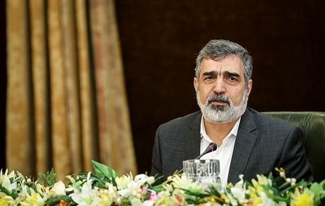 
کمالوندی: ظرفیت غنی‌سازی ۵، ۲۰ یا ۶۰ درصد را داریم/ تورقوزآباد بخش خصوصی است
