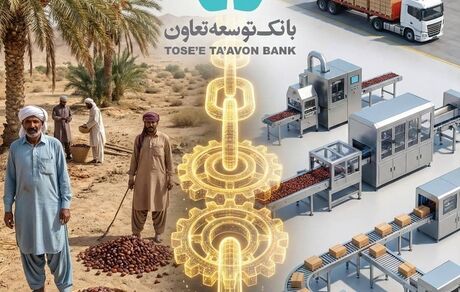 ابتکار عمل حاکمیتی وزارت تعاون، کار و رفاه اجتماعی با تبیین نقش عملیاتی بانک توسعه تعاون