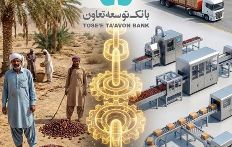 ابتکار عمل حاکمیتی وزارت تعاون، کار و رفاه اجتماعی با تبیین نقش عملیاتی بانک توسعه تعاون