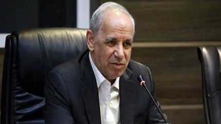 انصاری: ۴۵ هزار نفر در دستگاه های اجرایی استخدام می شوند 