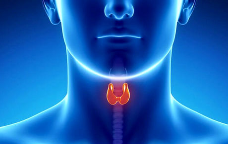 کاهش شیوع گواتر در نوجوانان و جوانان از ۶۸ درصد طی ۳۰ سال گذشته به حدود هفت درصد