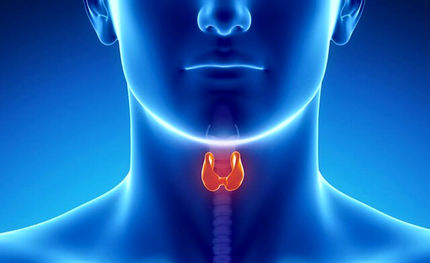 کاهش شیوع گواتر در نوجوانان و جوانان از ۶۸ درصد طی ۳۰ سال گذشته به حدود هفت درصد