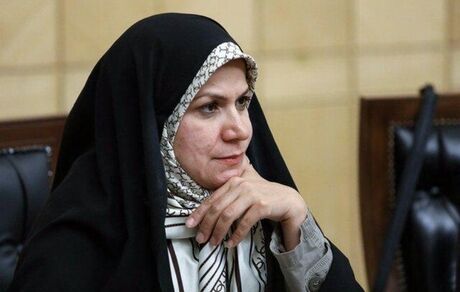 ذوالقدر: پیشنهاد حذف زبان انگلیسی از نظام آموزشی با نص قانون اساسی مغایرت است