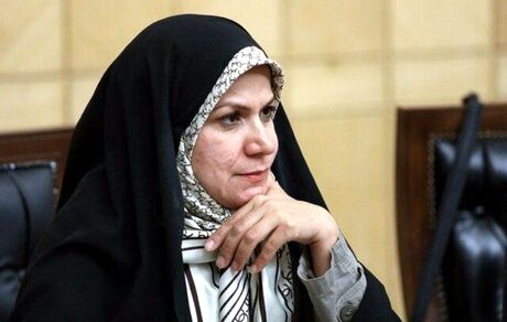 ذوالقدر: پیشنهاد حذف زبان انگلیسی از نظام آموزشی با نص قانون اساسی مغایرت است