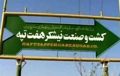  دیوان محاسبات: قرارداد واگذاری نیشکر هفت تپه فسخ می‌شود 