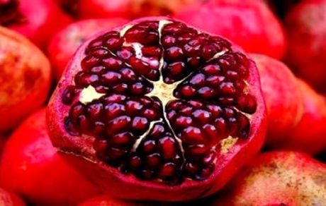 جشنواره ملی انار ساوه آبان‌ماه برگزار می‌شود