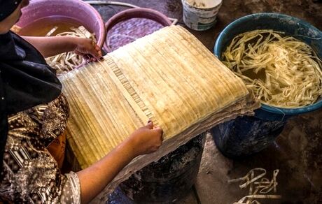 ساخت پاپیروس با وجود نبود گردشگر