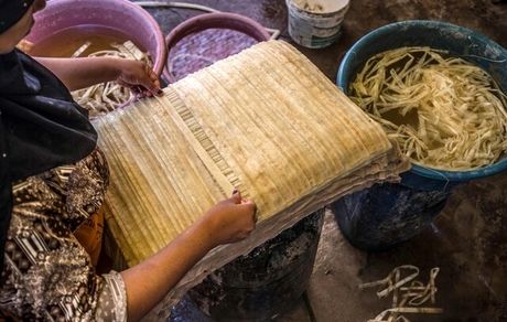 ساخت پاپیروس با وجود نبود گردشگر