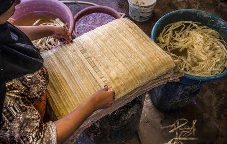 ساخت پاپیروس با وجود نبود گردشگر