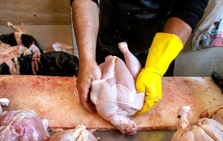 روزانه ۵ هزارتن گوشت سفید و قرمز بسته‌بندی در کشور توزیع می‌شود