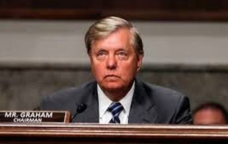 سناتور گراهام: کمپ‌های القاعده در افغانستان در حال ظهور است