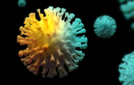 شناسایی اولین مورد مبتلا به کرونای امیکرون در کردستان