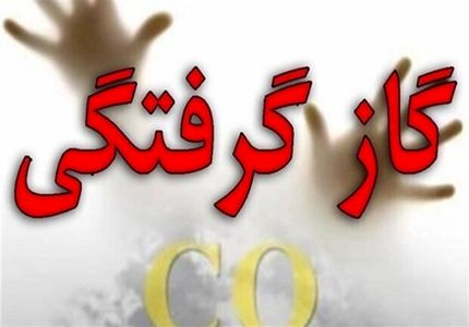 مسمومیت یک خانواده پنج نفره در سنندج بر اثر استنشاق گاز مونوکسیدکربن 