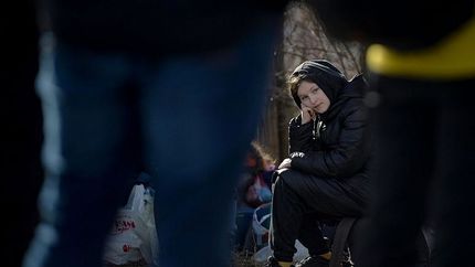 ۱۲۰ هزار اوکراینی از این کشور گریخته‌اند