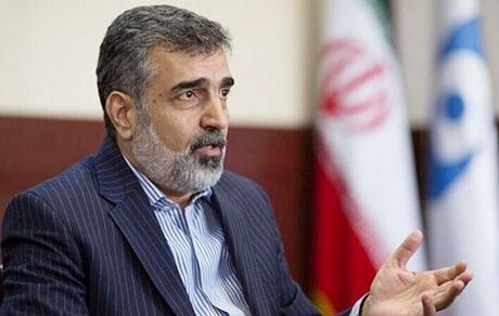 کمالوندی: از سخنان اسلامی اشتباه برداشت شد/ غنی‌سازی را ادامه می‌دهیم