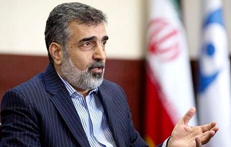 کمالوندی: از سخنان اسلامی اشتباه برداشت شد/ غنی‌سازی را ادامه می‌دهیم