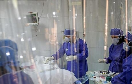 موج هفتم کرونا نزدیک شد
