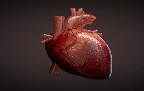 دلایل بزرگ شدن قلب چیست؟