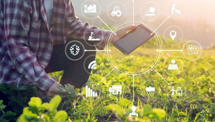 ایجاد ۴۰ مزرعه الگویی نوآوری در کشور تا پایان سال