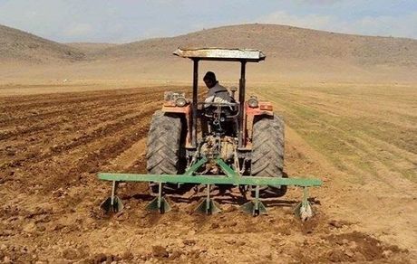 ۵ میلیون هکتار سطح زیر کشت محصولات زراعی دیم
