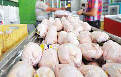 خرید مرغ در اصفهان با کارت ملی / هر اصفهانی ۶ کیلو در هفته