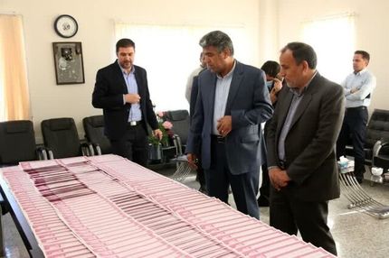 رفع تداخل ۱۶۰ هزار هکتار از اراضی استان کرمان