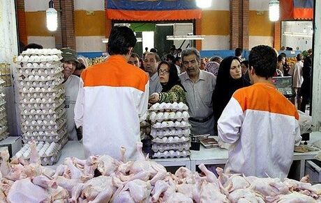 برخورد قاطع با گرانفروشان مرغ و تخم مرغ در تهران