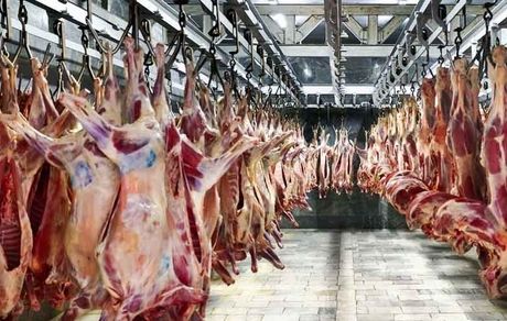 عرضه گوشت قرمز در فروردین ماه ۱۴۰۱ به بیش از ۴۶ هزارتن رسید