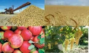 اختصاص ارز ۴۲۰۰ تومانی کالاهای مشمول کشاورزی در دی ماه
