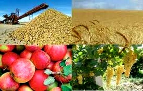اختصاص ارز ۴۲۰۰ تومانی کالاهای مشمول کشاورزی در دی ماه